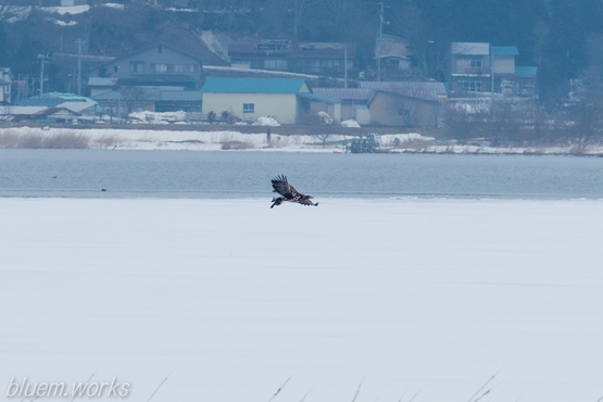 20140305-092240-9133.jpg